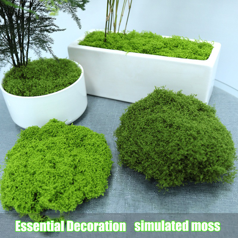 Terrarium Moss Art - Artificial simulation of moss and filamentous