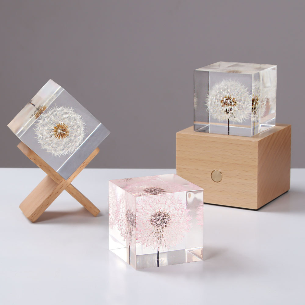 Dandelion preserved fresh flow - Flower Preservation Resin のレビューと価格