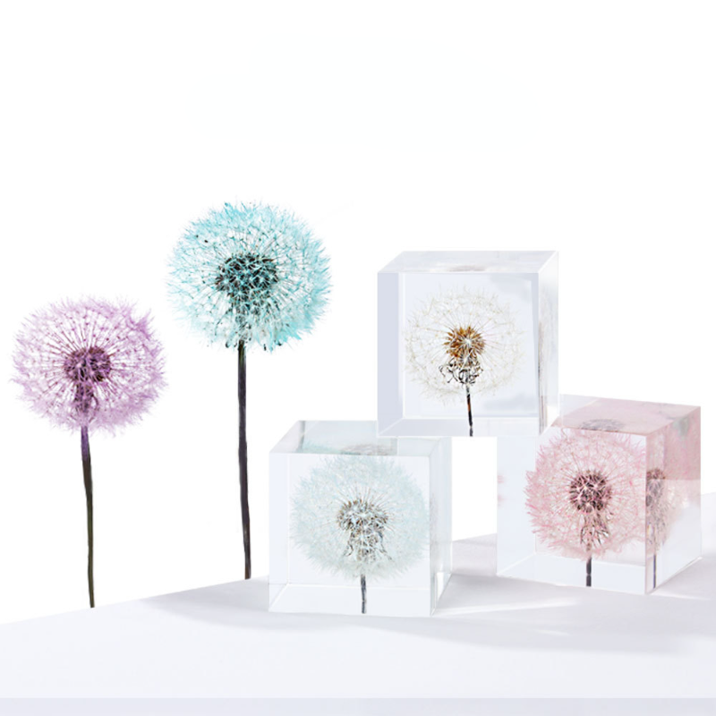 Dandelion preserved fresh flow - Flower Preservation Resin のレビューと価格