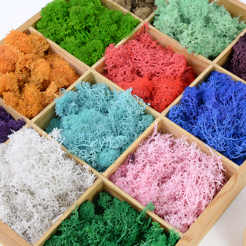 20/40g Artificial Green Plants - Terrarium Moss Art のレビューと価格