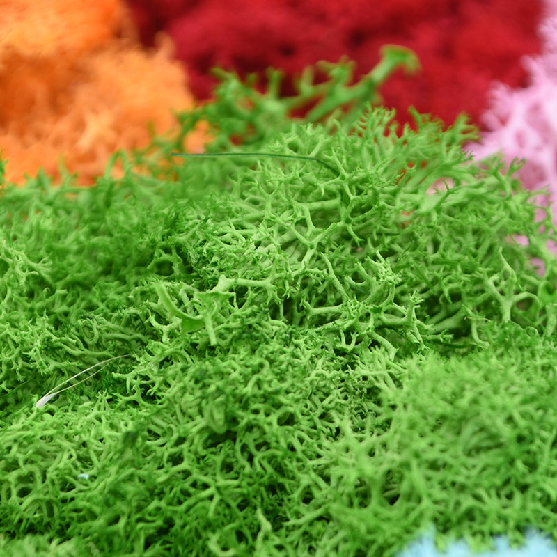 20/40g Artificial Green Plants - Terrarium Moss Art のレビューと価格