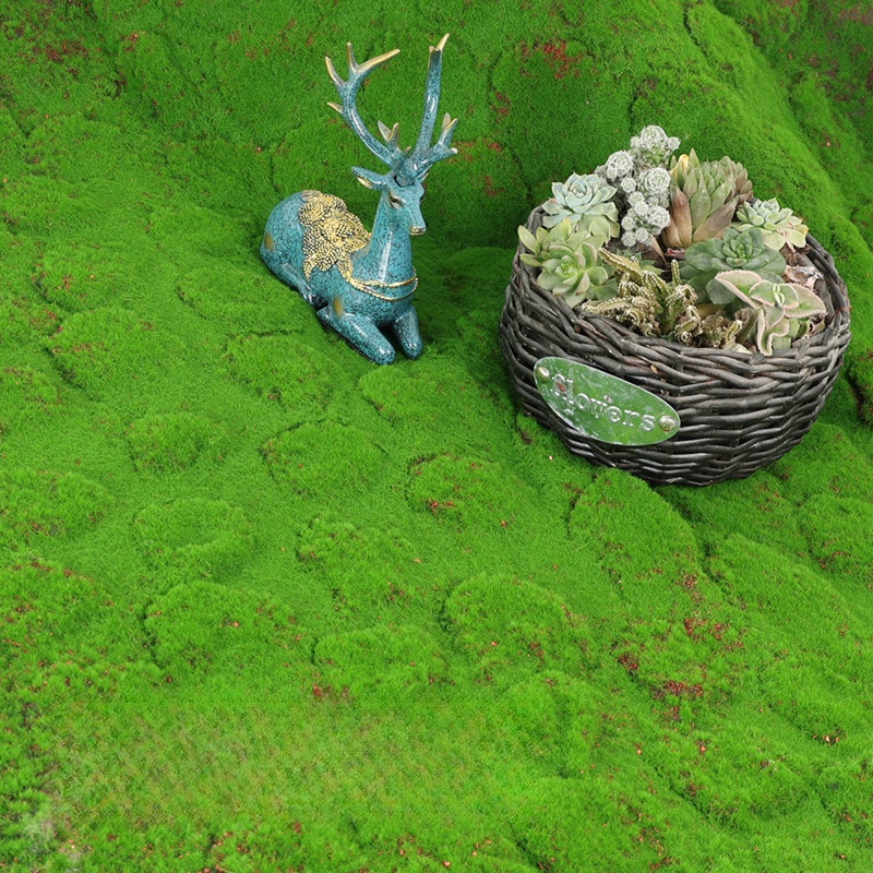 Artificial Turf Moss Simulatio - Terrarium Moss Art のレビューと価格