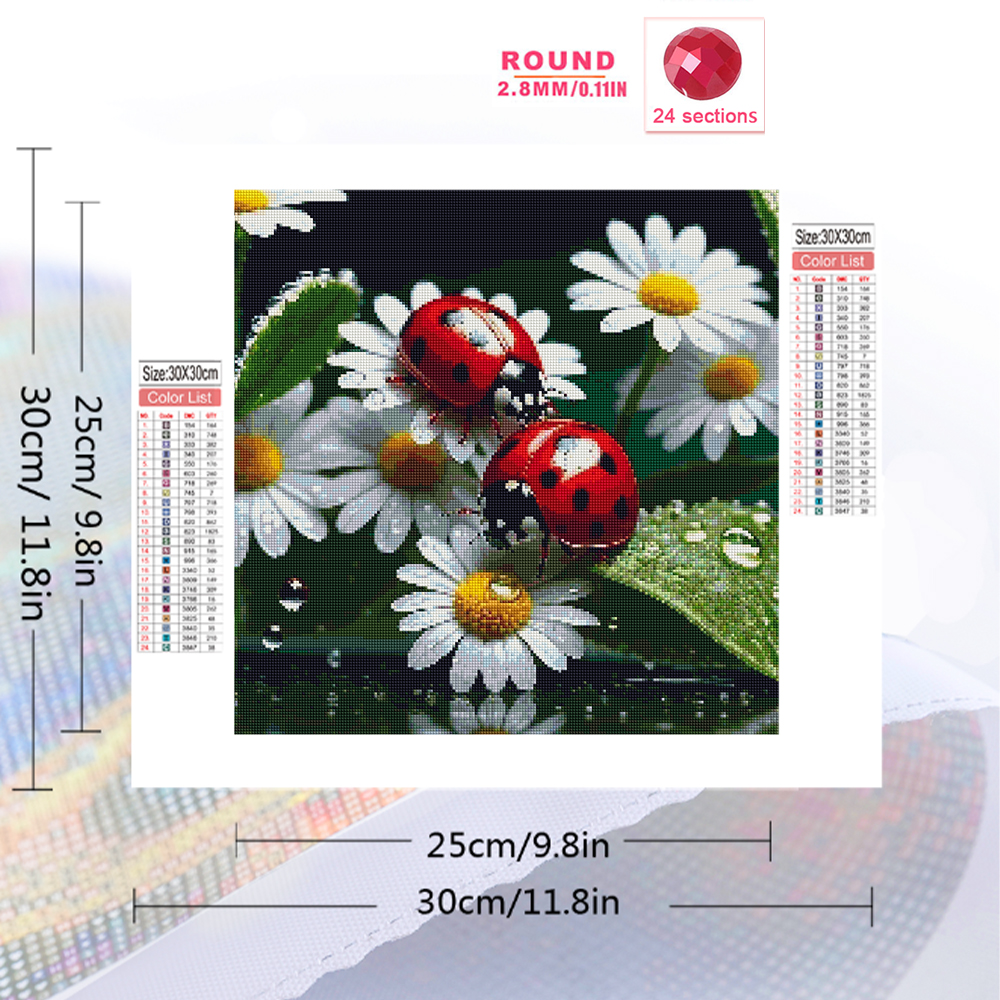 Momoart Diamond Painting Ladyb - Resin Craft For Beginners のレビューと価格