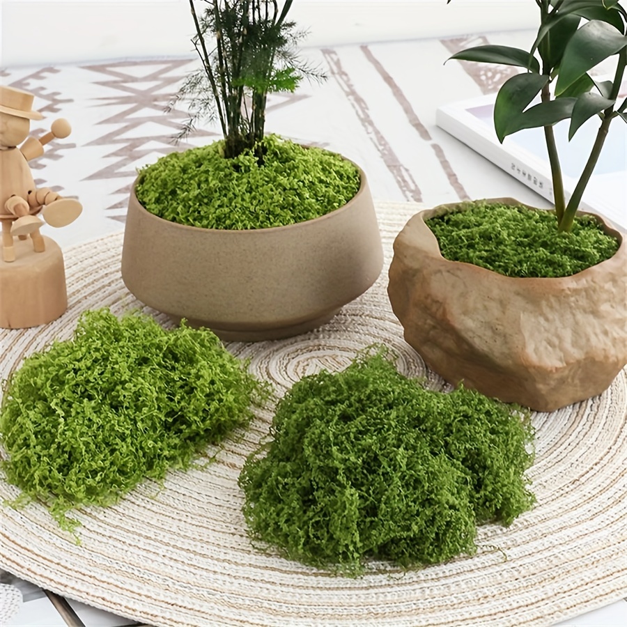 1pack Artificial Fake Moss, 1. - Terrarium Moss Art のレビューと価格