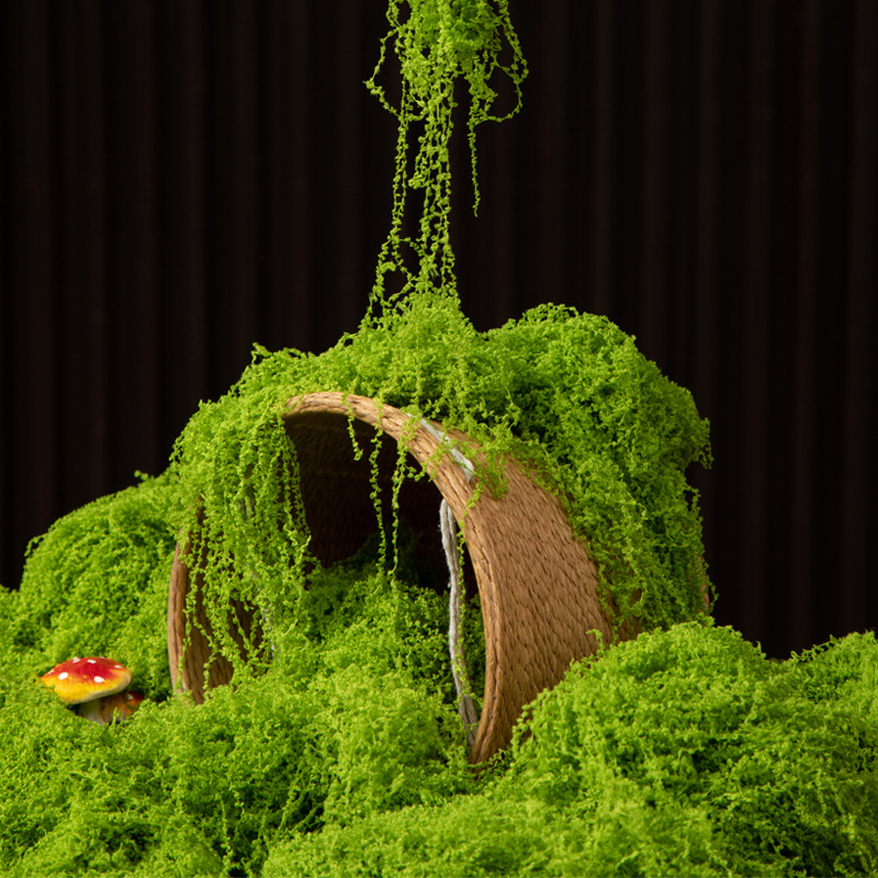 200g Eternal Life Moss DIY Cra - Terrarium Moss Art のレビューと価格