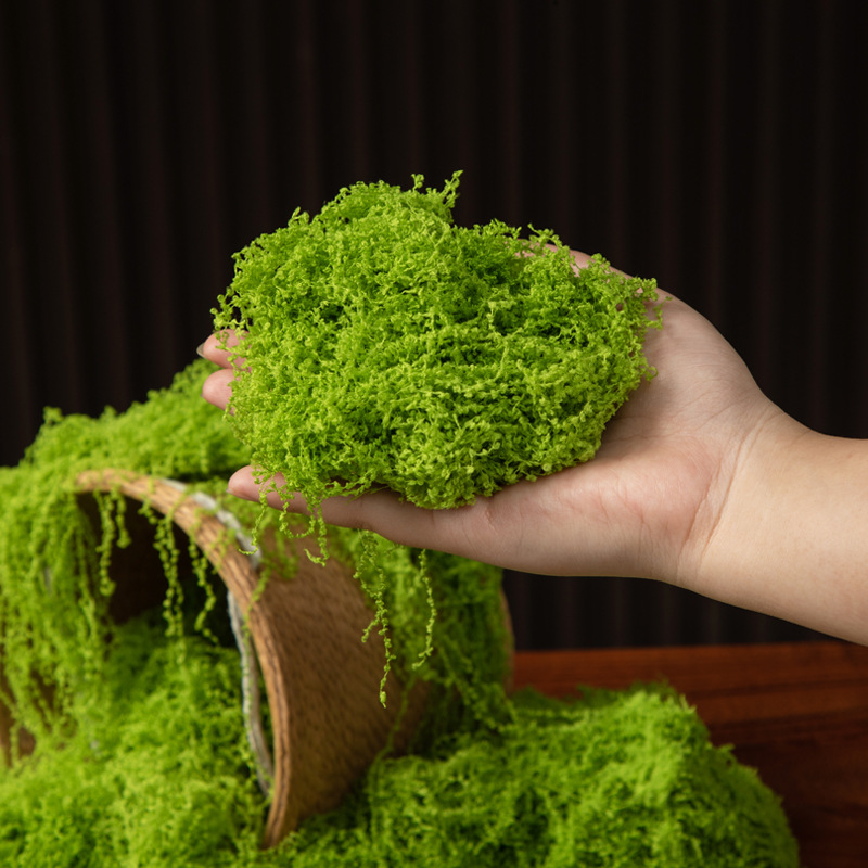 200g Eternal Life Moss DIY Cra - Terrarium Moss Art のレビューと価格
