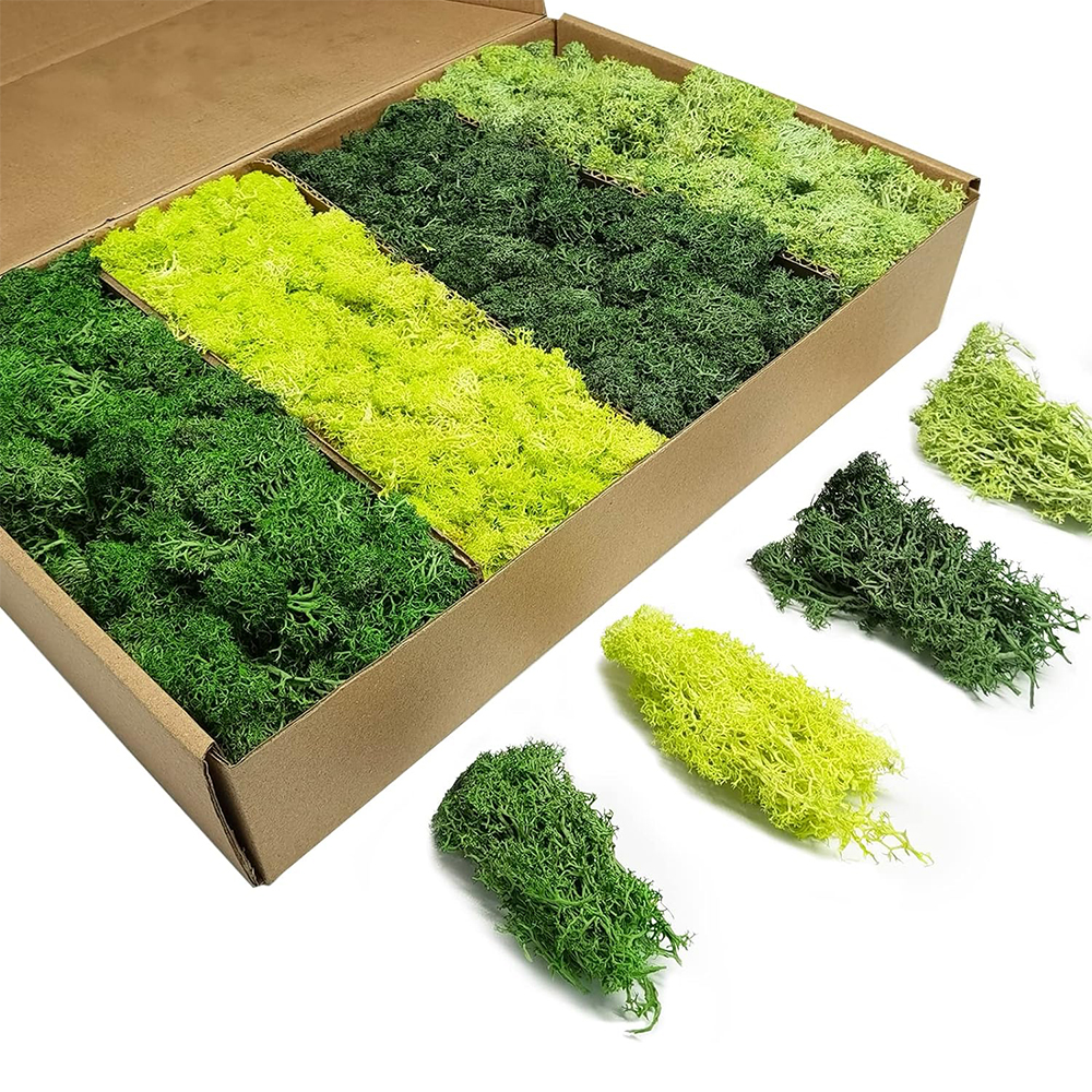 Artificial Green Plants Eterna - Terrarium Moss Art のレビューと価格