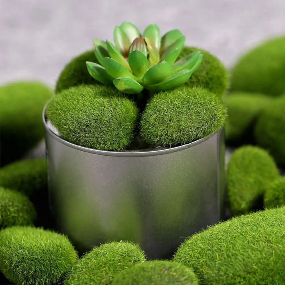 Floral Arrangements Fake Stone - Terrarium Moss Art のレビューと価格