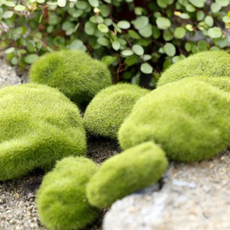 Fake Stone Artificial Moss Roc - Terrarium Moss Art のレビューと価格