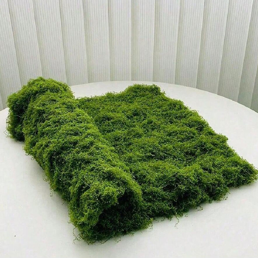 1*1m Fake Moss DIY Crafts Gras - Terrarium Moss Art のレビューと価格