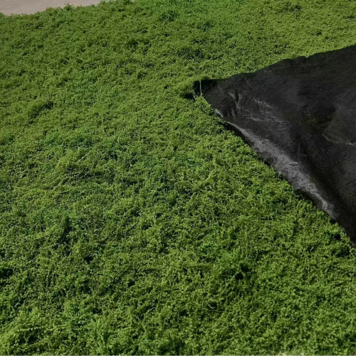 1*1m Fake Moss DIY Crafts Gras - Terrarium Moss Art のレビューと価格