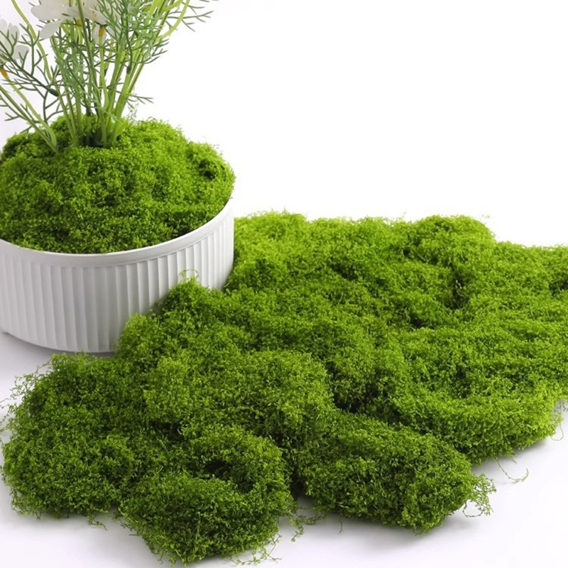 30/50/100g Fake Green Moss Art - Terrarium Moss Art のレビューと価格