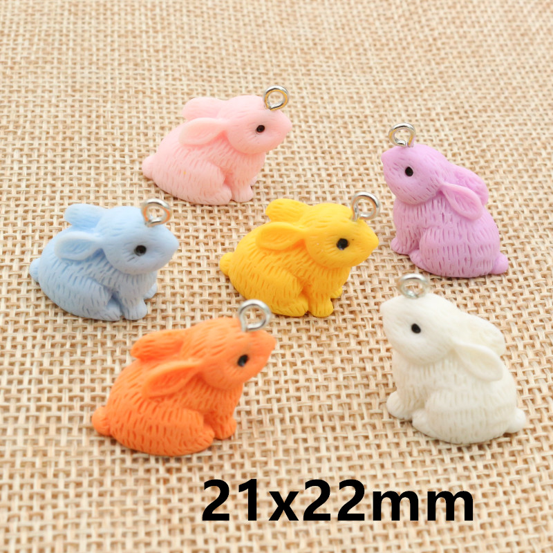 10PCS Resin Pendant Charms Rab - Resin Craft Supplies のレビューと価格