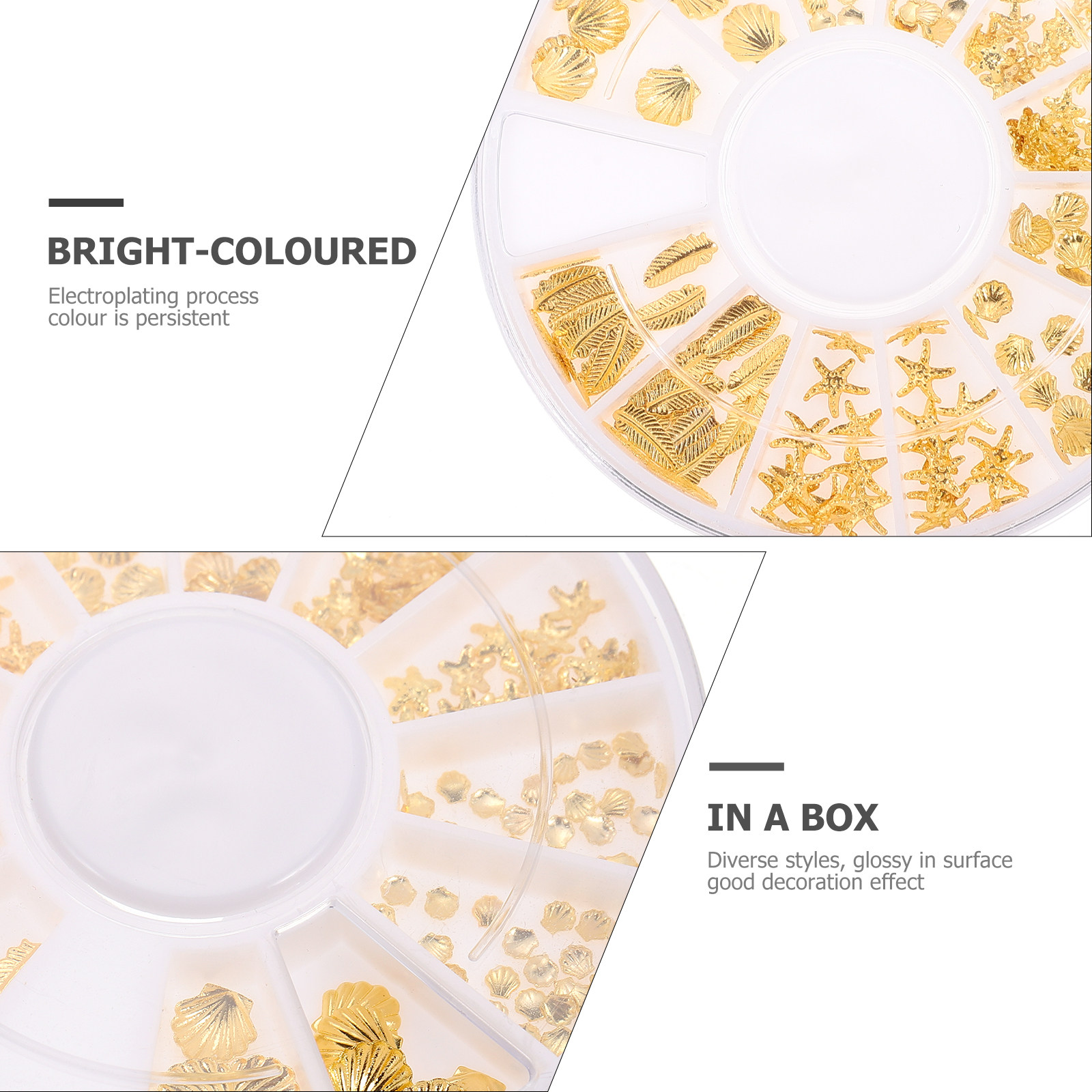 2 Boxes Seashells Resin Fillin - Resin Craft Material のレビューと価格