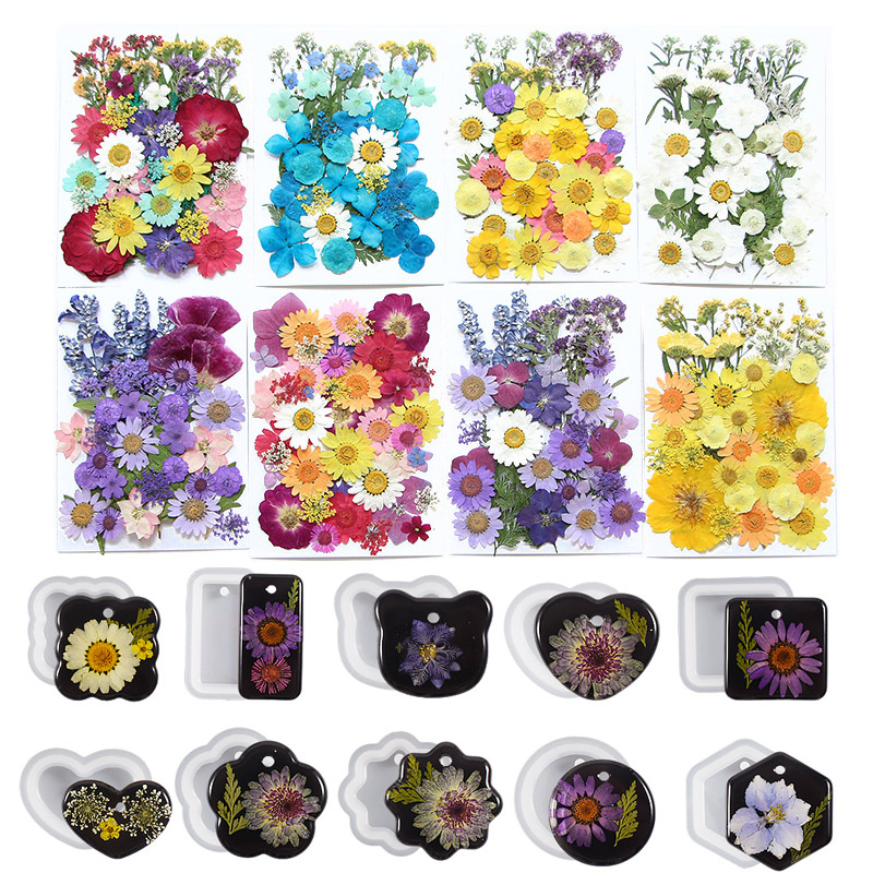 6pcsDried Flowers Real Natural - Flower Preservation Resin のレビューと価格